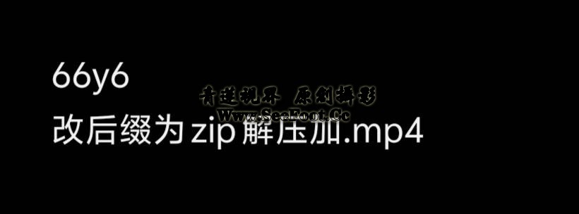 提取码