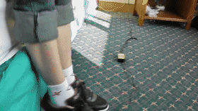 04094515.gif