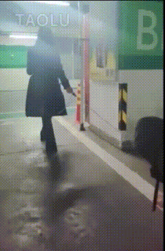 IMG_5912.GIF