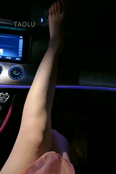 IMG_7462.GIF