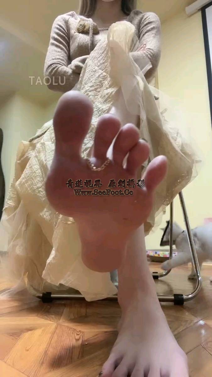 1698741154840.jpg