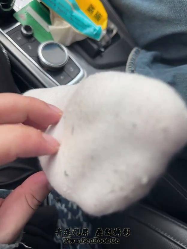 jrsj (14)[00_00_37][20251114-150707].jpg